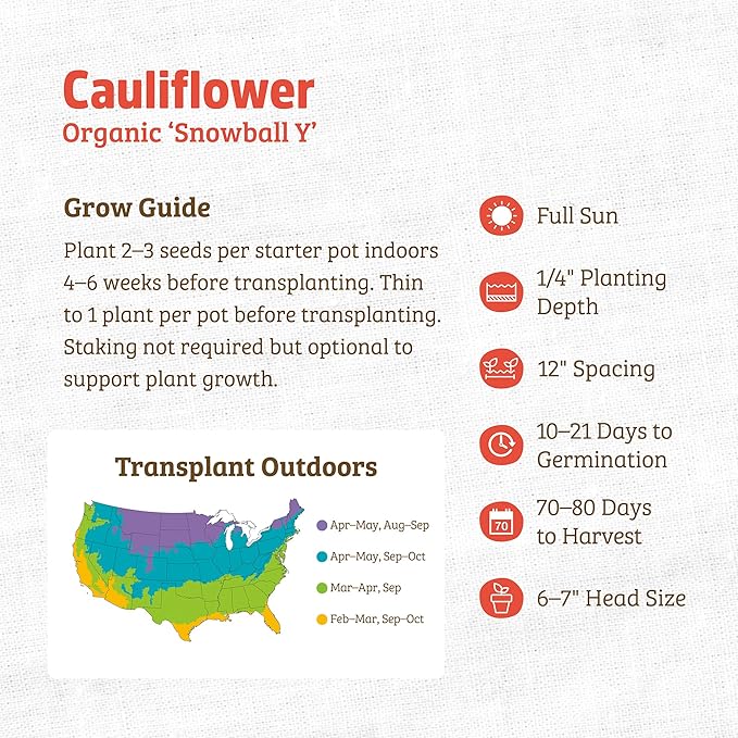 Back to The Roots 100% Organic Heirloom Seeds - Cauliflower Value Pack (1g Total)