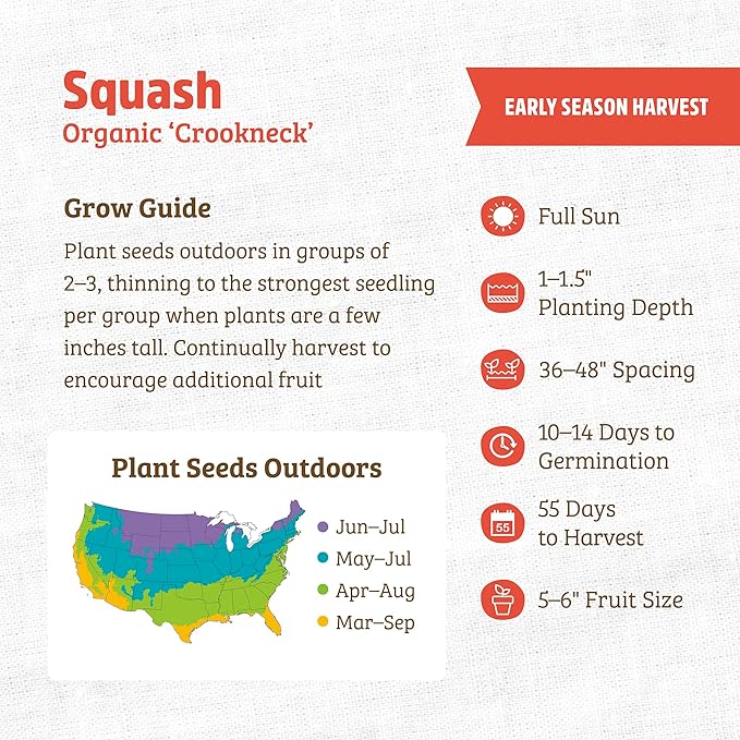 Back to The Roots 100% Organic Heirloom Seeds - Squash Value Pack (4g Total)