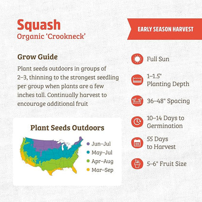 Back to The Roots 100% Organic Heirloom Seeds - Squash Value Pack (4g Total)