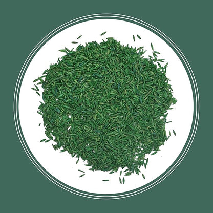 Pennington Kentucky 31 Tall Fescue Penkoted Grass Seed 3 lb, Green (Pack of 2)