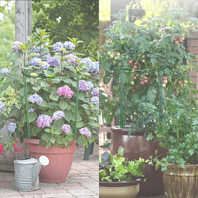 12 Pack 24 inch Plant Support Stakes, Half-Round Metal Garden Flower Stakes, Large Peony Support Ring and Cage for Indoor and Outdoor Plants, Hydrangea, Tomato, Rose, Monstera with Plant Ties