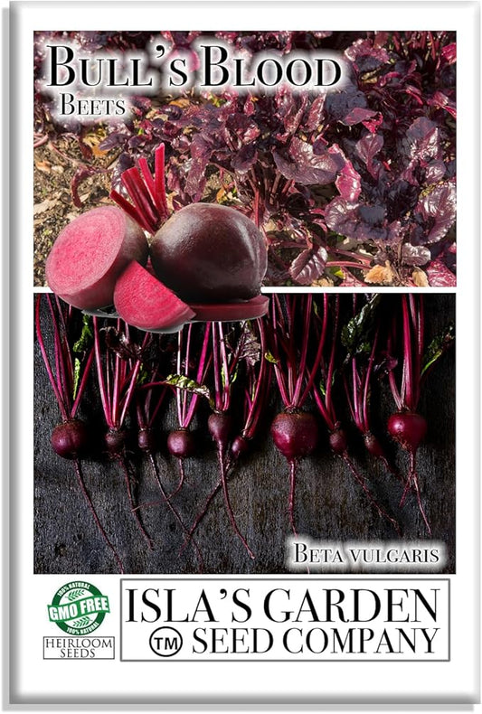 Bull's Blood Beet Seeds for Planting, 100+ Heirloom Seeds Per Packet, (Isla's Garden Seeds), Non GMO Seeds, Botanical Name: Beta vulgaris, Great Home Garden Gift