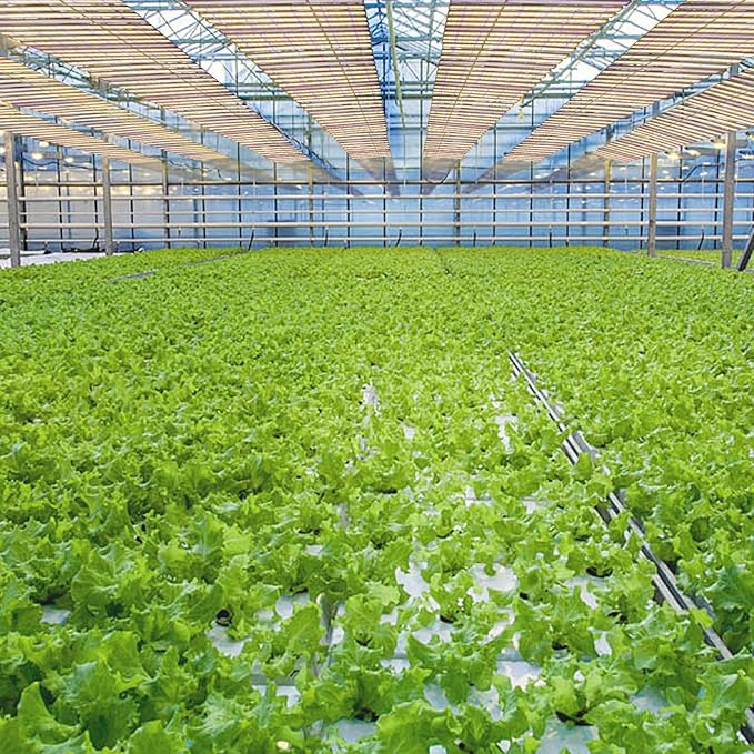 SZHLUX LED Grow Light for Indoor Plants, Dimmable Grow Light for Greenhouse (PTA1060W, 1060W)