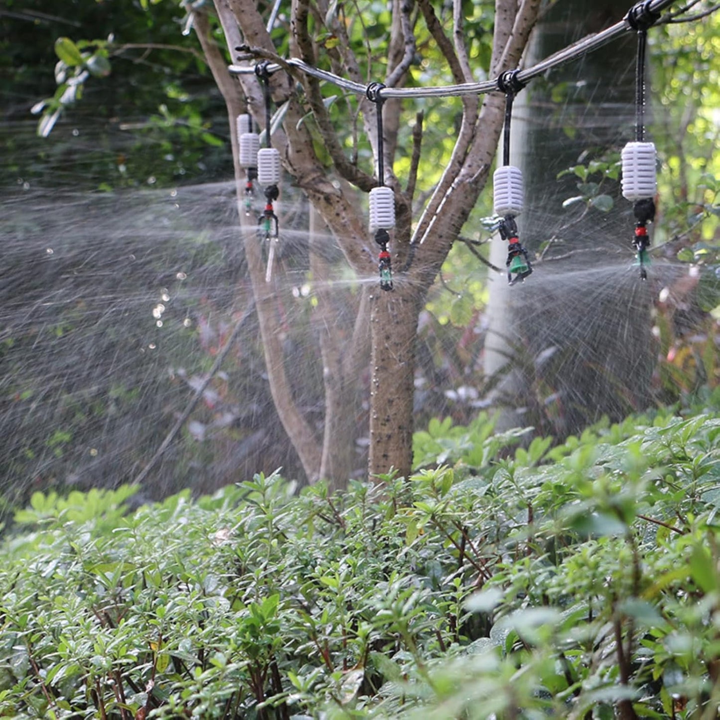 Micro Rotating Sprinkler,10 Set Rotating G Type Micro Nozzle Plants Watering Sprinkler Refraction Nozzle for Nurseries Greenhouse Net Room