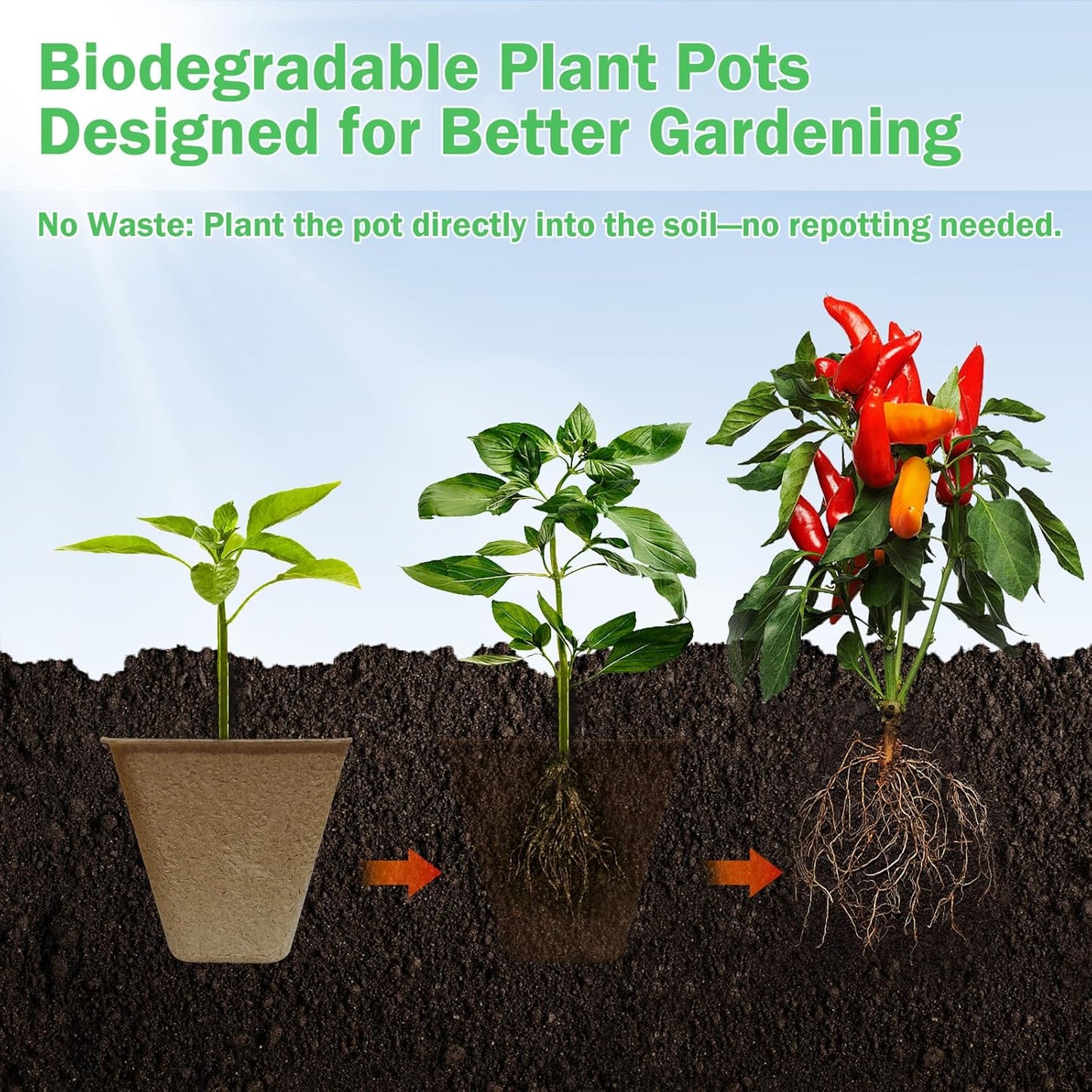 70-Pack 3.15 inch Square Peat Pots for Seedlings with Drainage Holes, Biodegradable Nursery Pots with 100 Labels for Plants