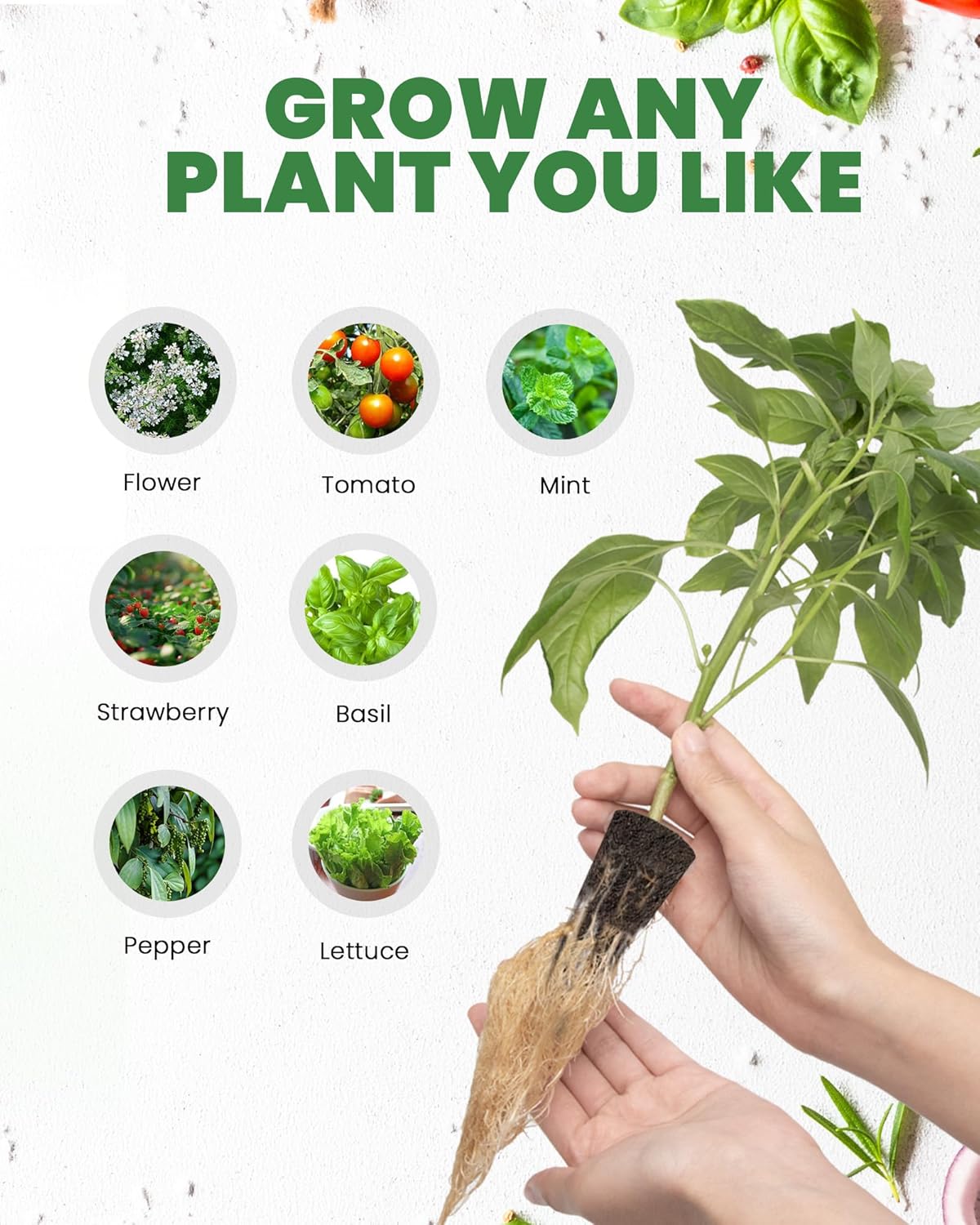 RAINPOINT 60pcs Grow Sponges for Hydroponics, Replacement Root Growth Sponges Compatible with All Indoor Gardening Systems, Seed Starter Pods for Hydroponic Indoor Garden System