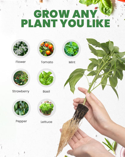 RAINPOINT 60pcs Grow Sponges for Hydroponics, Replacement Root Growth Sponges Compatible with All Indoor Gardening Systems, Seed Starter Pods for Hydroponic Indoor Garden System