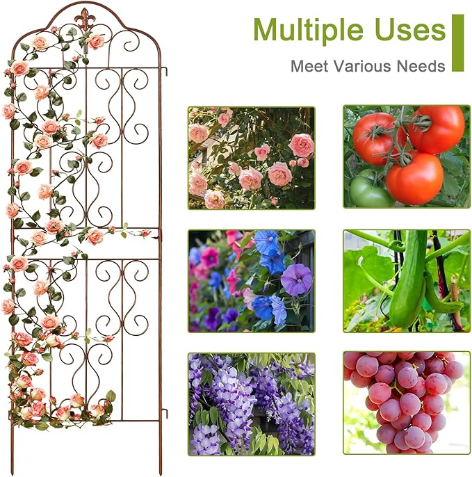 hogardeck 4 Packs 60 * 18 inch Metal Garden Trellis for Climbing Plants Outdoor,Heavy Duty,Gold Coating Rustproof Trellis for Rose, Vegetable, Flowers, Expandable,Perfect for Training Climbing Plants