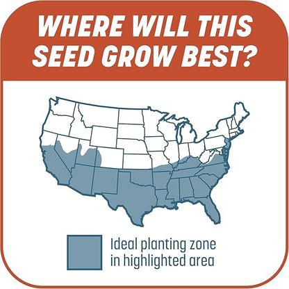 Pennington Smart Patch Bermudagrass Mix 30 lb