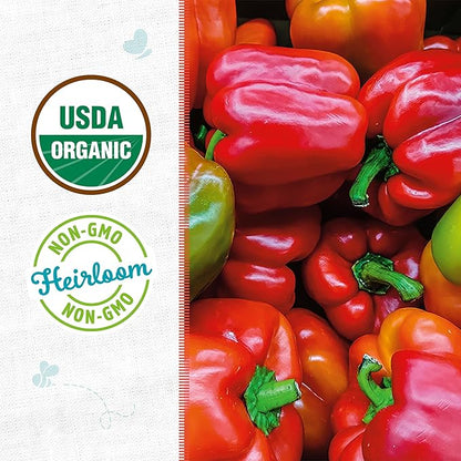 Back to The Roots 100% Organic Heirloom Seeds - Keystone Resistant Giant Bell Pepper Value Pack (280mg Total)