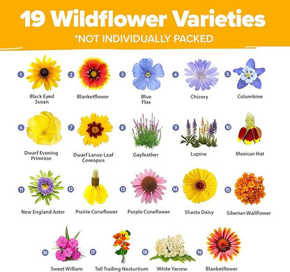 HOME GROWN Wildflower Seeds Mix - 47,400+ Non-GMO USA-SOURCED Seeds - 19 Perennial Flower Varieties for Planting Outdoors - Attract Butterflies & Birds - 3oz Wild Flower Seed Mix