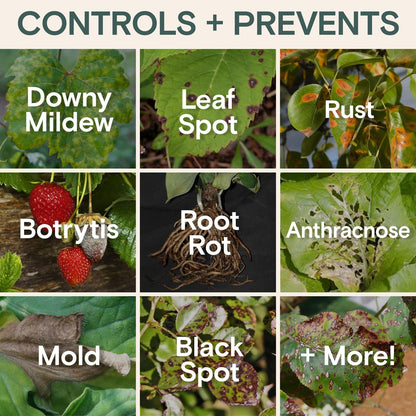 Organic Fungicide Liquid Concentrate for Indoor, Outdoor, and House Plants – Natural Fungicide for Plants, Lawn Fungus Treatment, Powdery Mildew Control, Mushroom Lawn Treatment, Spider Mite Defense