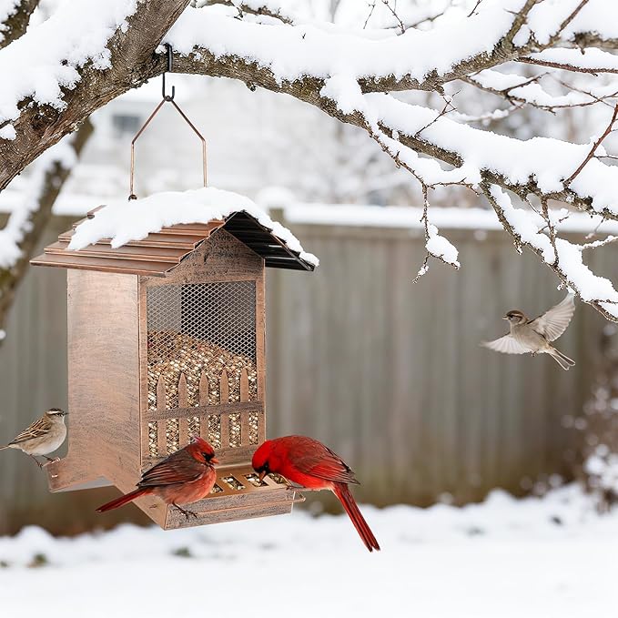 Bird Feeders for Outdoors, 8LBS Large Capacity Hanging Metal Wild Bird Seed Feeder for Outside Finch Cardinal Blue Jay and More