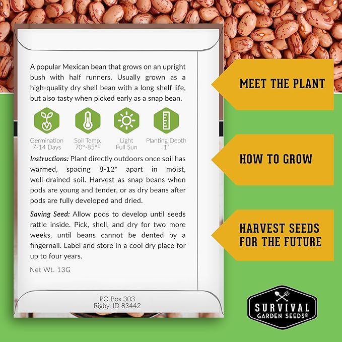 Pinto Bean Seeds for Planting - 5 Packets with Instructions for Growing Mottled/Peruano Beans in The Home Vegetable Garden - Non-GMO Open-Pollinated Heirloom & Untreated - Survival Garden Seeds