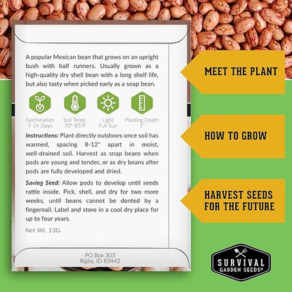 Pinto Bean Seeds for Planting - 2 Packets with Instructions for Growing Mottled/Peruano Beans in The Home Vegetable Garden - Non-GMO Open-Pollinated Heirloom & Untreated - Survival Garden Seeds