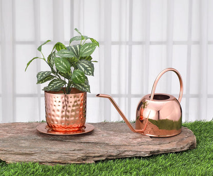 Glytterati- Indoor Watering Can and Planter with Plate.