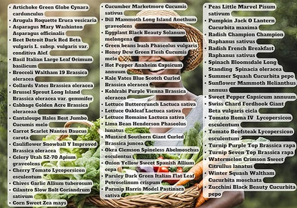 B&KM Farms 30,000+ Survival Seed Kit 5+ Year Supply. 50 Fruit & Vegetable Non-GMO Heirloom Seeds for Planting a Home Garden. Secure Emergency Weather-Proof Package(1, Large)