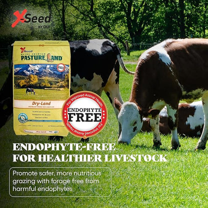 X-Seed Pasture Land Dry-Land Forage Seed Mixture with Micro-Boost – Tall Fescue Orchard Grass Ryegrass Endophyte Free Pasture for Safe Nutrition of Livestock, Formulated for Dry Areas – 25-Pound Bag