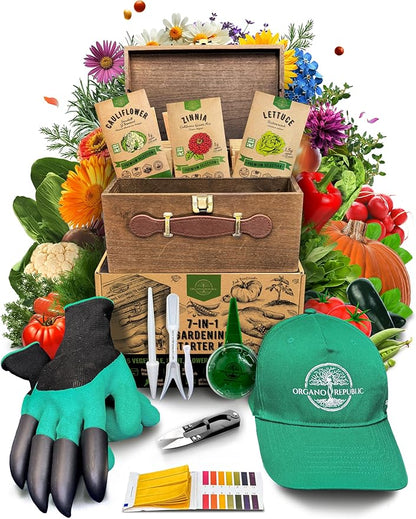 Organo Republic Medicinal & Tea Herb Seeds Variety Pack for Indoor & Outdoors - 75 Variety Pack. Non-GMO Heirloom Garden Seeds: Rosemary, Cilantro, Basil, Oregano, Parsley, Dill, Lavender, Catnip