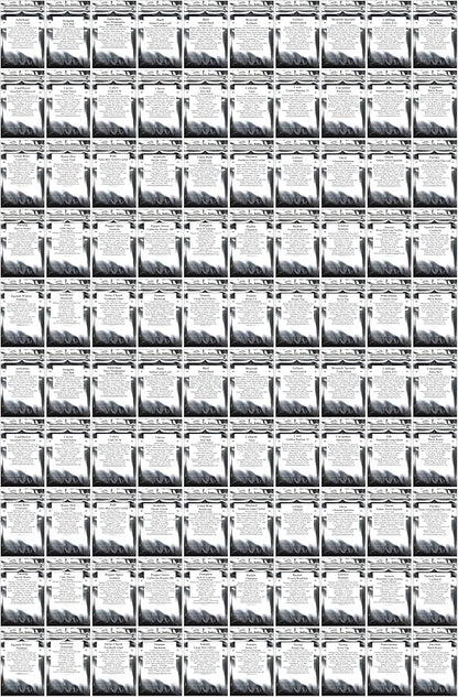 100 Seed Packets, 50 Varieties: Ultimate Seed Vault for Home Food Security & Abundant Gardens by B&KM Farms