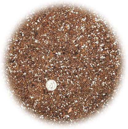Gardenera Professional Carnivorous Plant Soil - Ready to Use for Venus Flytraps, Sundews, Pitcher Plants, Butterworts | Peat Moss, Coco Coir, Perlite - 3 Quart Bag