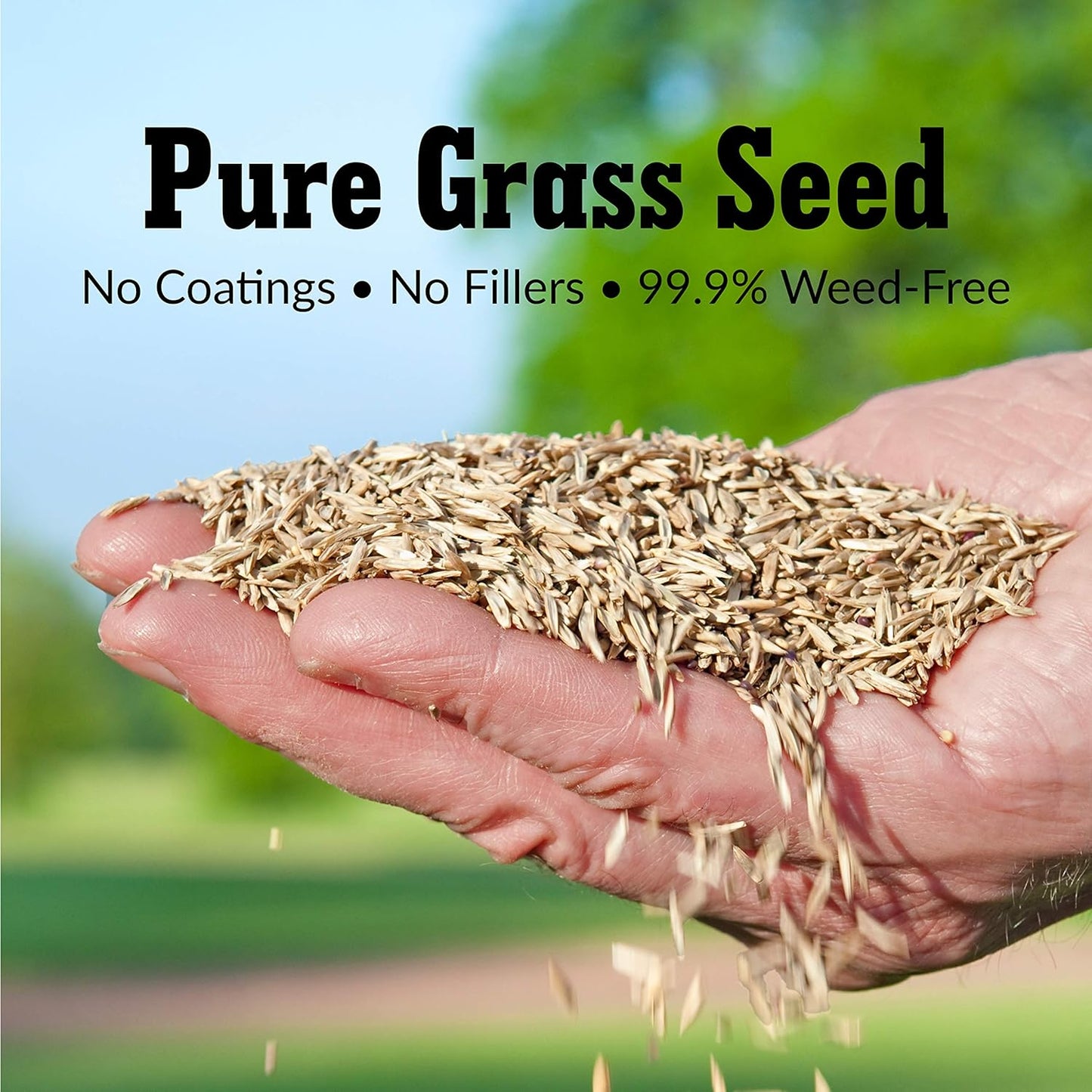 GreenView Pure Grass Seed Turf Type Tall Fescue Sun & Shade Blend, 20 lb. Bag – Covers up to 5,000 sq. ft.