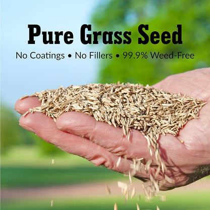 GreenView Pure Grass Seed Kentucky Bluegrass Blend, 7 lb. Bag – Covers up to 7,000 sq. ft.