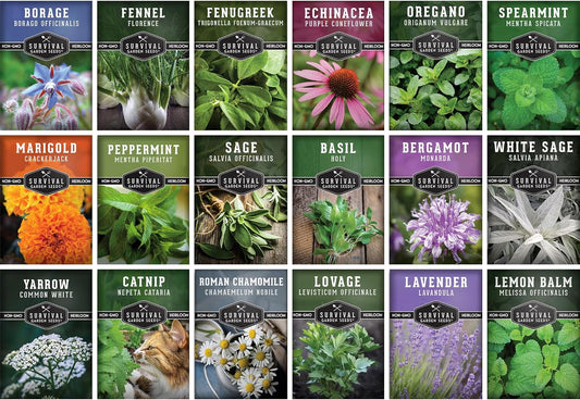 Medicinal Herb Seeds for Planting | 18 Seed Variety Pack of Heirloom, Non-GMO Herbs – Herbal Teas, Tinctures & Home Apothecary Garden Kit – Survival Garden Seeds