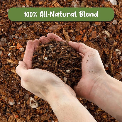 Cactus and Succulent Potting Mix (2 Quarts), Special Blend-Fast Draining and Desert-Style Gritty