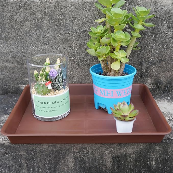 4 Pack Plant Saucer Tray Rectangular, Plant Saucers for Indoors, Heavy Sturdy Plastic Plant Drainage Trays, Plant Drip Trays for Pots, Seed Starter Growing Tray (11 x 9 inch, Chocolate)