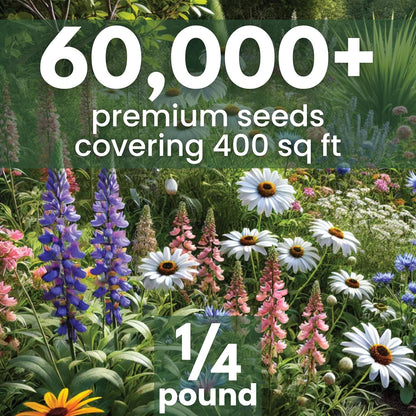 Perennial Species Mix - Bulk 1/4 Pound Pouch - 60,000 Flower Seeds for Planting - Wildflower Mix