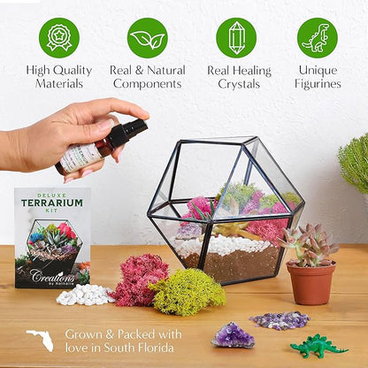 – DIY Large Terrarium Starter Kit with Soil, Moss, Pebbles, Healing Crystal, Tools & Supplies – Terrarium Kit for Adults & Kids, Handcrafted in USA