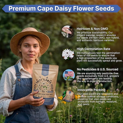 Cape Daisy Flower Seeds Pack 1 oz - Over 2,550 Non-GMO Heirloom Cape Daisy Seeds for Planting, Perennial Flowers in Individual Seed Packet, Seed for Planting Home Garden Indoor & Outdoor Gardening