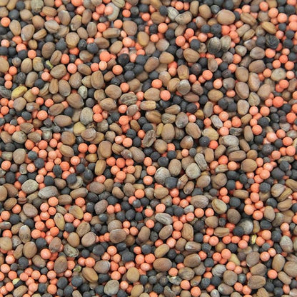 Seeds of Science Pro Brassica Blend (2)