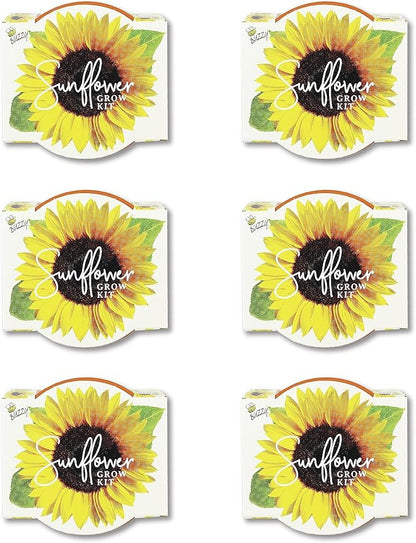 BUZZY Seeds Sunflower Daydream Collection 6-Pack Mini Terracotta Grow Pots, Includes Seed Packets and Growing Medium, Flower Starter Kit for Kids and Adults, Indoor Gardening Gift, Wedding Favors