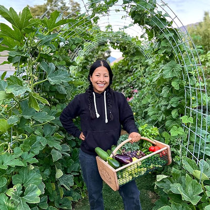 Thirsty Earth: CottaCup Automatic Olla Watering System for Your Garden (4 Cup Kit)