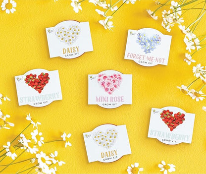 BUZZY Seeds Indoor Flower Starter Kit – Terracotta Mini Grow Pots for Kids & Adults, 6-Pack Love Collection – DIY Windowsill Gardening Kit, Wedding Favors, Party Favors, Bridal Shower Gifts