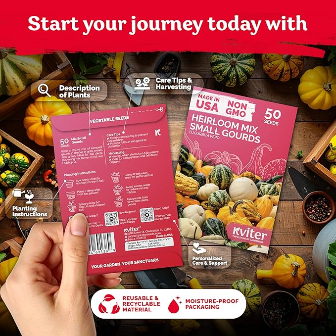 KVITER 50 Small Gourd Seeds Mix (Cucurbita Pepo) – Ornamental Fall Decor Gourds, Non GMO & Organic – Perfect Heirloom Seeds for Planting Decorative Gourds in Vegetable Garden