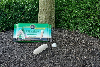 Miracle-Gro Plant Food Spikes Bundle for Fruit and Citrus Plus Trees and Shrubs, For Deciduous, Evergreen and Flowering Trees and Shrubs, 24 Spikes