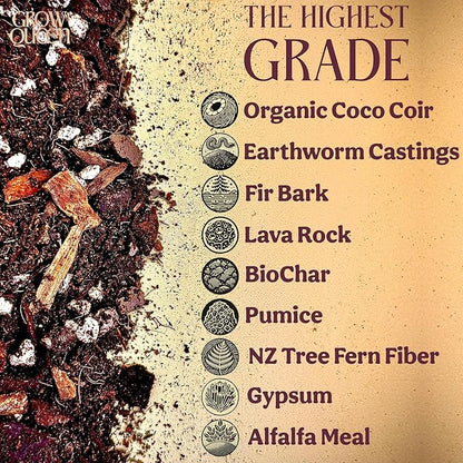 Craft Aroid Potting Mix- Elite Alocasia, Philodendron, Monstera Soil Mix, Chunky, Well Draining Potting Soil for Indoor Plants, All Tropical Plants & Houseplants, Synthetic & Peat Free 1QT