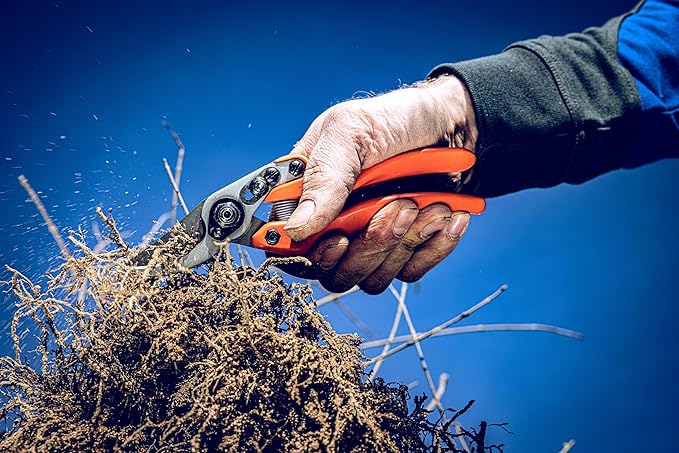 Original LÖWE Profi Bypass Pruner Garden Tools 11.107 | Light & Sharp Tree Pruner | Use As Garden Shears, Handheld, Pruning Shears for Gardening | For flowers, twigs & fruit trees | Made in Germany