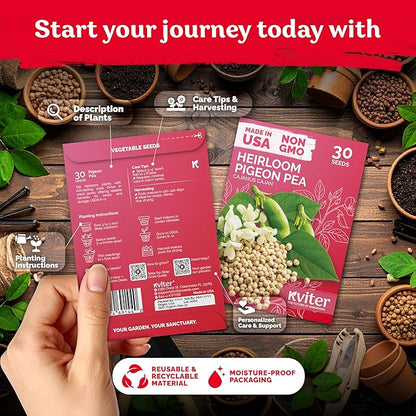 KVITER 30 Guandules Pigeon Peas Seeds for Planting (Cajanus Cajan) – a.k.a Gandules Goya, Gungo Peas, Congo Pea Non GMO & Organic – Heirloom Vegetable Seeds to Plant in Outdoor Garden & Trellises