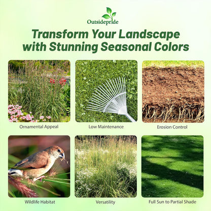 Outsidepride Perennial Andropogon Big Bluestem Grass Seed - 25 lbs. Warm Season, Drought Resistant, Native Prairie Grass Seed, Ideal for Erosion Control, Ornamental Landscaping & Wildlife Gardens