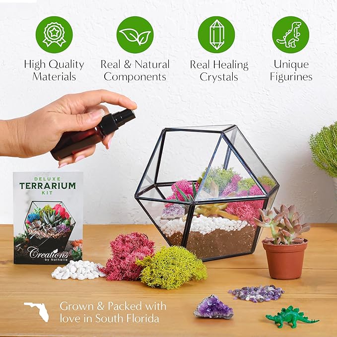 – Premium Small DIY Terrarium Kit for Succulents, Cacti & Air Plants, Includes Soil, Moss, Pebbles, Tools, Amethyst Gem & Crystal Chips – Handmade in USA