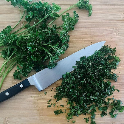 Back to The Roots 100% Organic Heirloom Seeds - Parsley Value Pack (840mg Total)