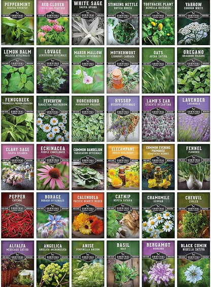 Ultimate Medicinal Herb Seeds Variety Pack – 36 Heirloom Varieties, 28,000+ Lavender, Calendula, Echinacea, Peppermint, Yarrow – Non-GMO Garden Kit by Survival Garden Seeds