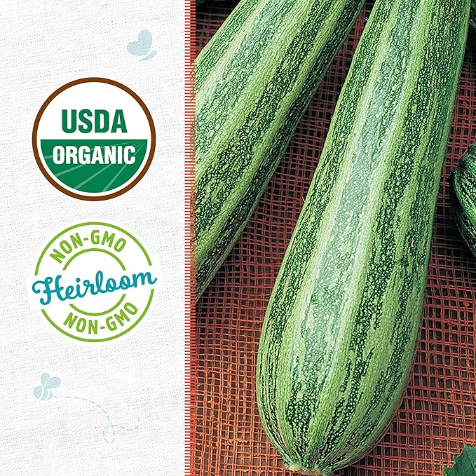 Back to The Roots 100% Organic Heirloom Seeds - Zucchini Squash Value Pack (5.6g Total)
