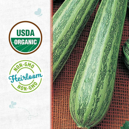 Back to The Roots 100% Organic Heirloom Seeds - Zucchini Squash Value Pack (5.6g Total)