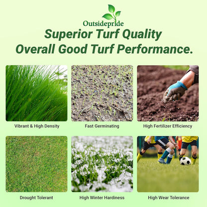 Outsidepride Royal TXD Bermuda Grass Seed Blend - 25 lbs. Warm Season, Fast Growing Turf Grass Seeds: Heat & Drought Tolerant, Ideal for Home Lawns & Sports Fields, Dense & Lush Green Coverage