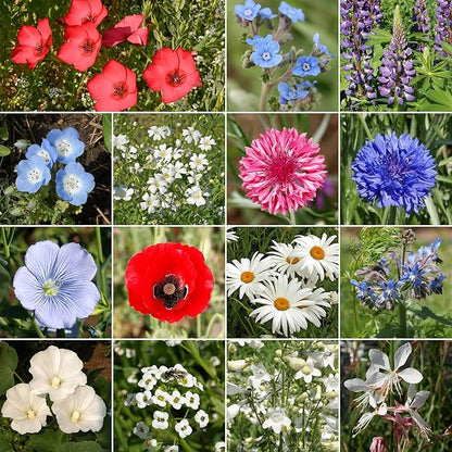 Ferry-Morse Red, White & Blue Mix Bulk Flower Seeds, 1lb
